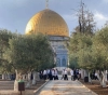 About 126 settlers storm Al-Aqsa Mosque