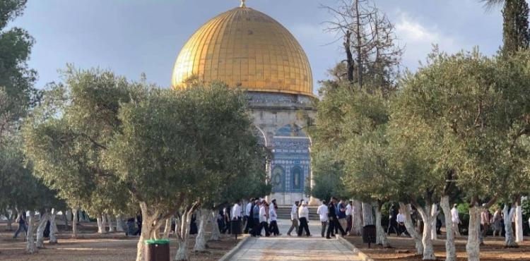 About 126 settlers storm Al-Aqsa Mosque