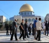 Settlers storm Al-Aqsa amid the escort of the Israeli police