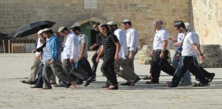 More than 100 settlers storm Al-Aqsa