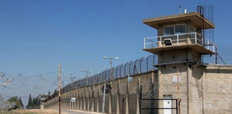 The occupation arrests 3,300 Palestinians since the start of &quot;Corona&quot;