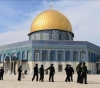 Settlers storm Al-Aqsa again, under the escort of the occupation police