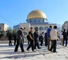Settlers storm the &quot;Al-Aqsa&quot; squares