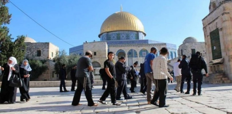Settlers storm the &quot;Al-Aqsa&quot; squares