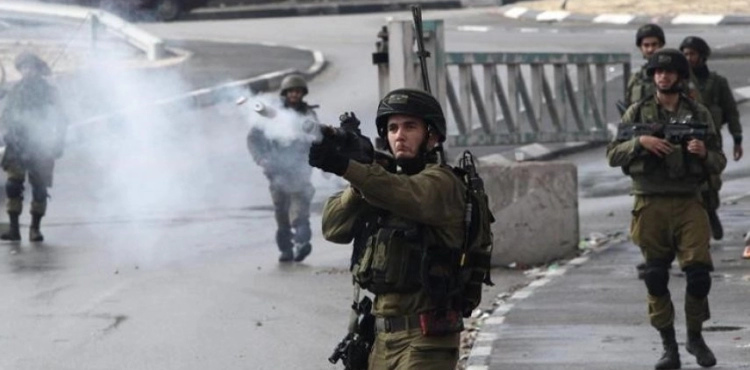 Injuries during the suppression of the settlement march in Beit Dajan