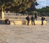 Dozens of settlers storm the &quot;Al-Aqsa&quot; again, under the protection of the Israeli police