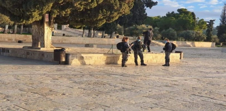 Dozens of settlers storm the &quot;Al-Aqsa&quot; again, under the protection of the Israeli police