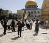 181 settlers storm the courtyards of Al-Aqsa Mosque
