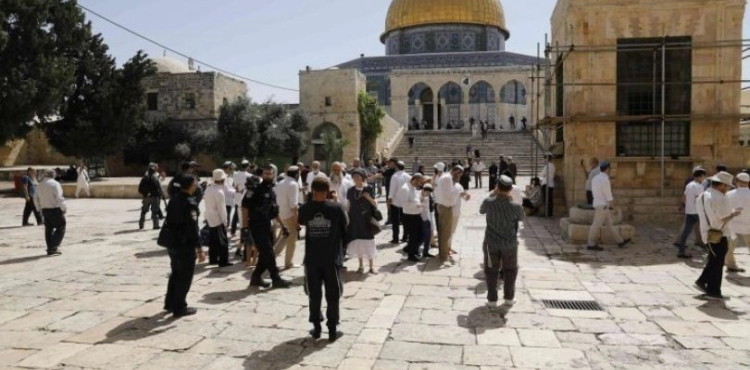181 settlers storm the courtyards of Al-Aqsa Mosque