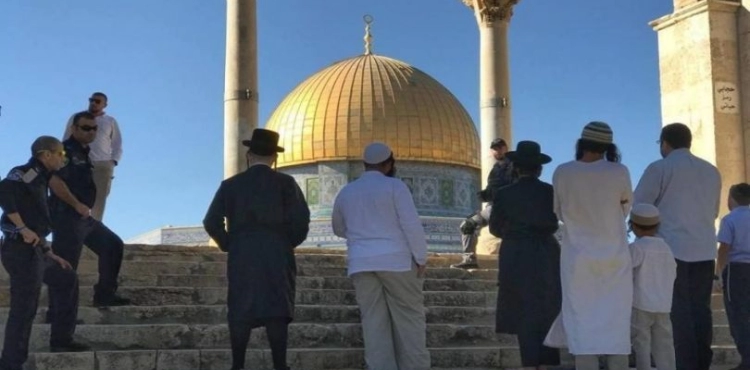 45 Jewish settlers storm the courtyards of Al-Aqsa Mosque