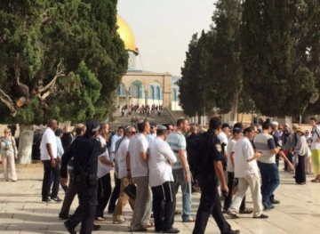89 settlers storm Al-Aqsa, and the occupation attacks a young Jerusalemite