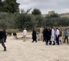 Dozens of settlers storm Al-Aqsa, under the protection of the occupation police