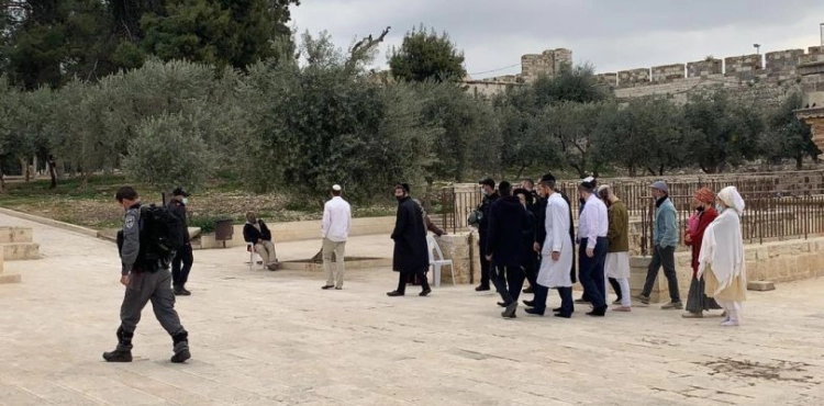 Dozens of settlers storm Al-Aqsa, under the protection of the occupation police