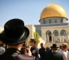 53 Jewish settlers storm the courtyards of Al-Aqsa Mosque