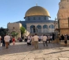 98 settlers storm the courtyards of Al-Aqsa Mosque