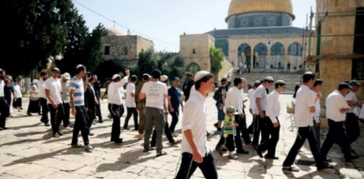 72 settlers storm the courtyards of Al-Aqsa Mosque