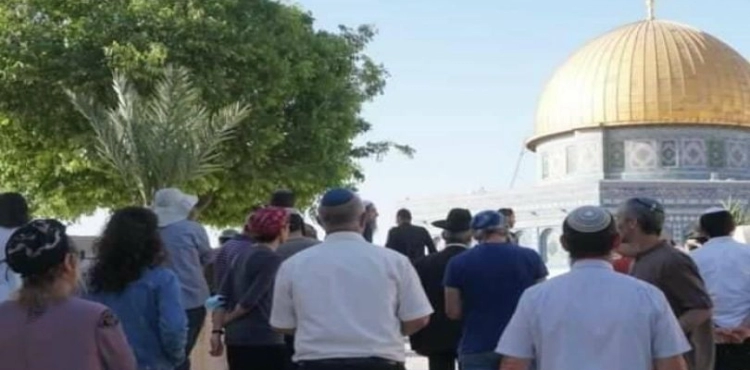 More than 100 settlers storm Al-Aqsa