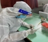 &quot;Gaza Health&quot;: 4 deaths and 142 new cases of Corona