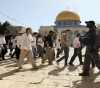 122 settlers storm the courtyards of Al-Aqsa Mosque