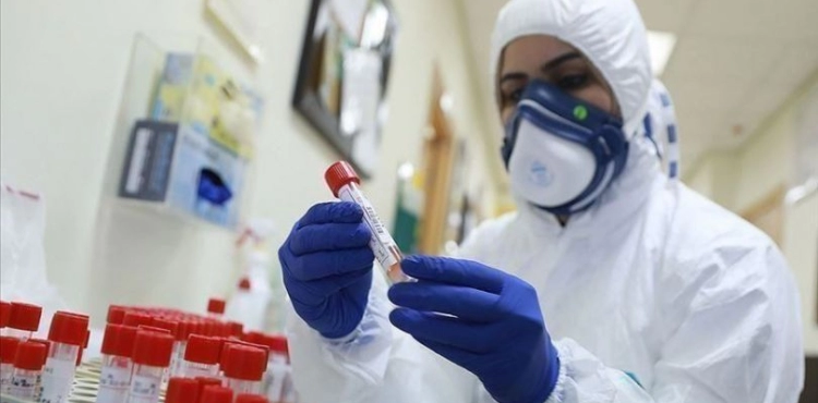 The Palestinian Ministry of Health records 81 new cases of â€œCoronaâ€
