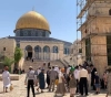 Dozens of settlers storm the courtyards of Al-Aqsa Mosque