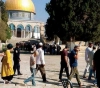 120 settlers storm the yards of Al-Aqsa