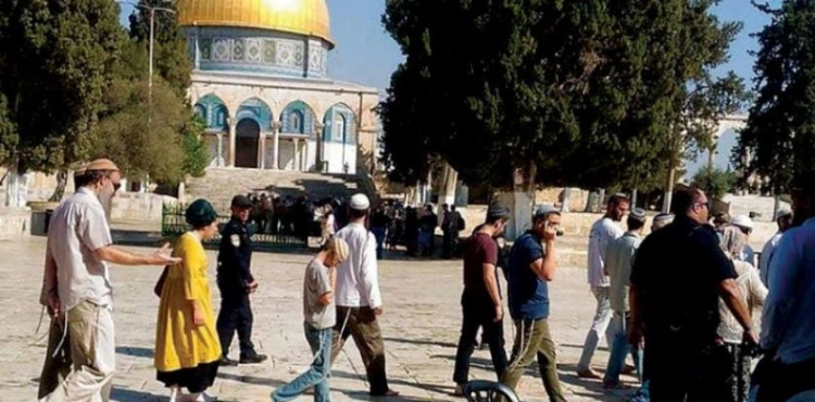 120 settlers storm the yards of Al-Aqsa