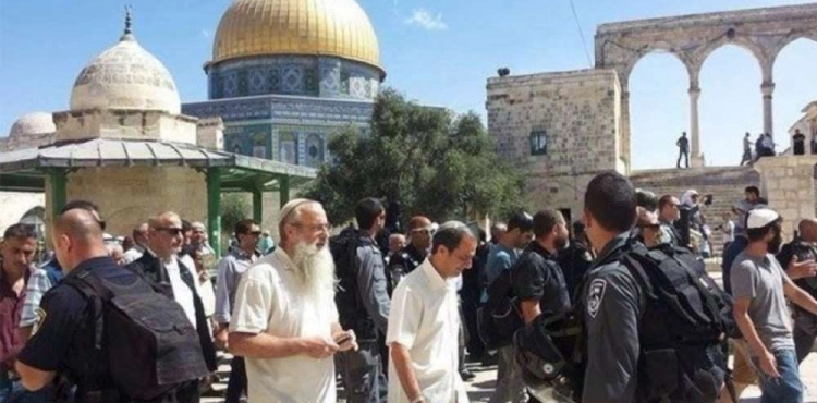 73 settlers storm Al-Aqsa