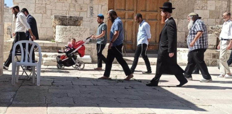 Settlers storm Al-Aqsa