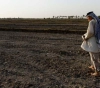 Drought and &quot;neighbors&quot; deprived Iraq of half of its cultivated land