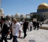 147 settlers storm Al-Aqsa courtyards