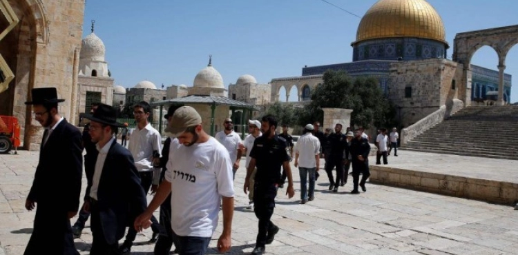 147 settlers storm Al-Aqsa courtyards