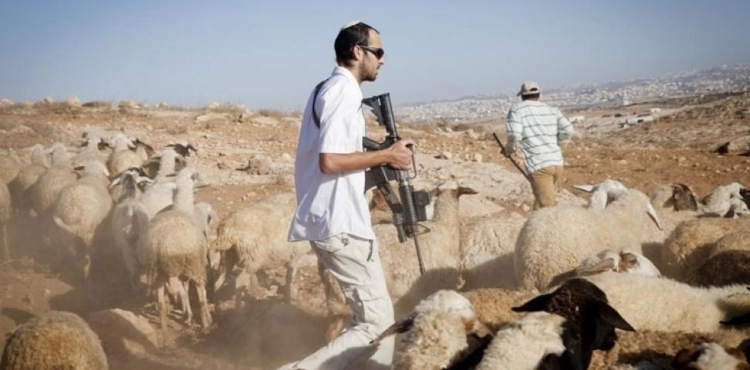 Settlers prevent shepherds from watering their livestock in Ain al-Hilweh in the northern Jordan Valley