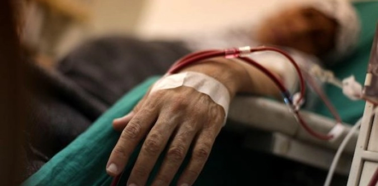 Gaza Diaries | Rima and Misk: How wide is the world  If the crossing is not closed and the siege