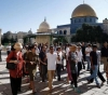 Settlers storm the yards of Al-Aqsa