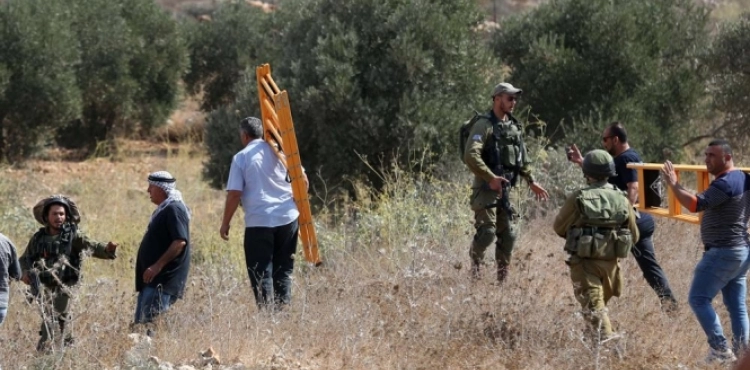 Four injuries in settlers&acute; attack on olive pickers in Borin in Palestine