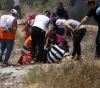 The Red Crescent: 294 injured in confrontations with the occupation in Beita and Usrin, and our crews were targeted