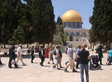 Dozens of settlers perform collective Talmudic rituals at Al-Aqsa under the protection of the occupation forces