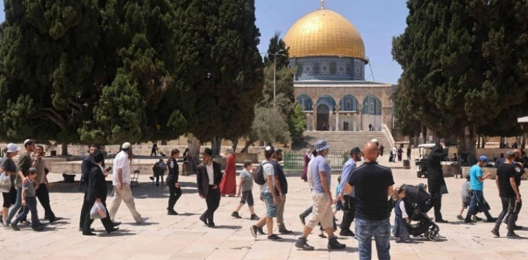 Dozens of settlers perform collective Talmudic rituals at Al-Aqsa under the protection of the occupation forces