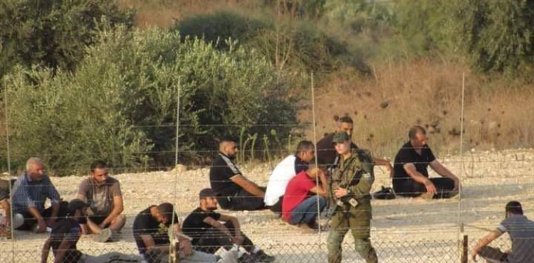 The occupation is chasing workers and detaining dozens of them west of the town of Pharaoh, Tulkarm