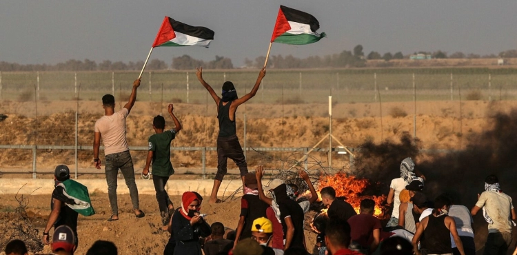 The occupation arrests a young man on the Gaza border