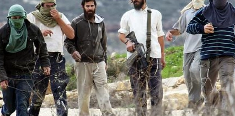 Injuries during a settler attack on an olive harvesting activity in Huwara
