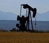 Oil records worst monthly performance since 2016