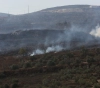 Settlers burn dozens of fig and olive seedlings, and the occupation suppresses a march condemning the settlements west of Salfit
