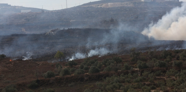 Settlers burn dozens of fig and olive seedlings, and the occupation suppresses a march condemning the settlements west of Salfit