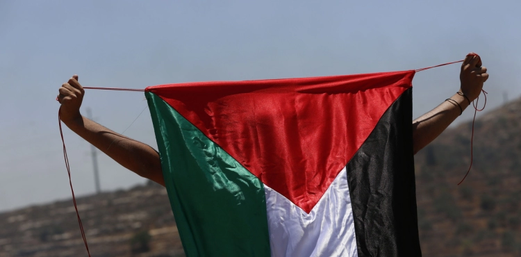 Occupation forces remove Palestinian flags in Shufa village