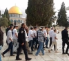 Dozens of settlers storm Al-Aqsa
