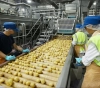 Corona revealed the reality .. German food industry experts bemoaned