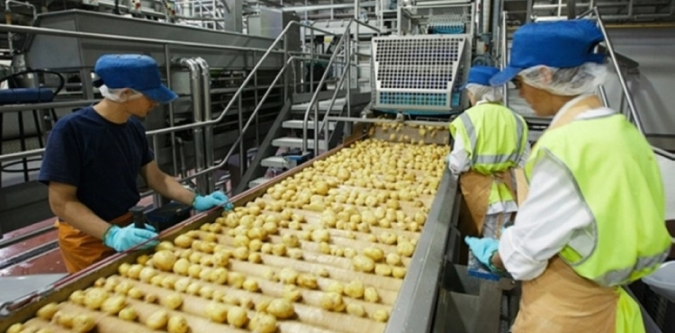 Corona revealed the reality .. German food industry experts bemoaned