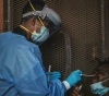Corona cases in Africa exceed 7.1 million